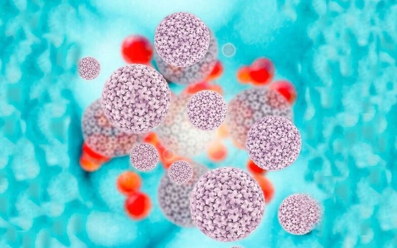 Human papillomavirus causes papillomas on the labia